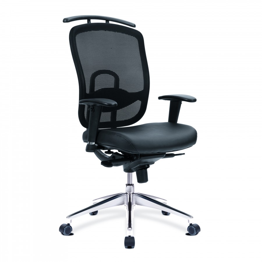 Freedom Mesh Ergonomic Office Chair